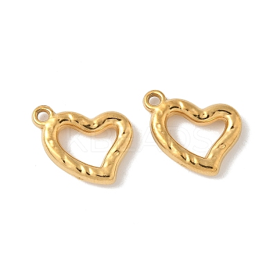 304 Stainless Steel Charms STAS-F320-06G-1
