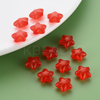 Transparent Acrylic Beads LS-MACR-S373-26E-04-1