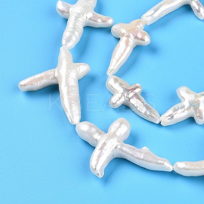 Natural Keshi Pearl Beads Strands PEAR-S020-M04-1