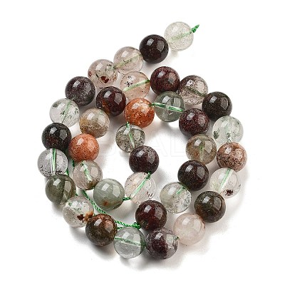 Natural Four Seasons Lodolite Quartz Beads Strands G-Z063-A02-02-1