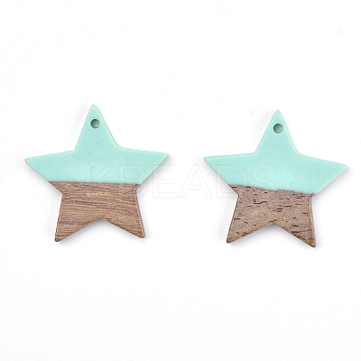 Resin & Wood Pendants LS-X-RESI-T023-23C-1