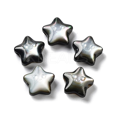 Natural Black Lip Shell Beads SHEL-M020-02B-1