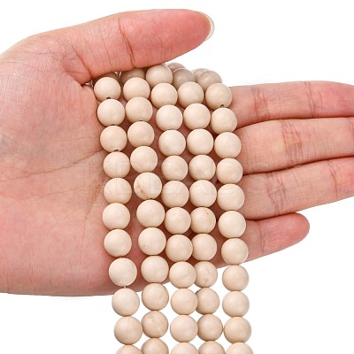 Natural Fossil Beads Strands X-G-E110-8mm-2-1
