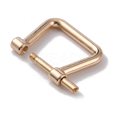 Alloy D-Rings with Screw Shackle FIND-WH0010-30-1