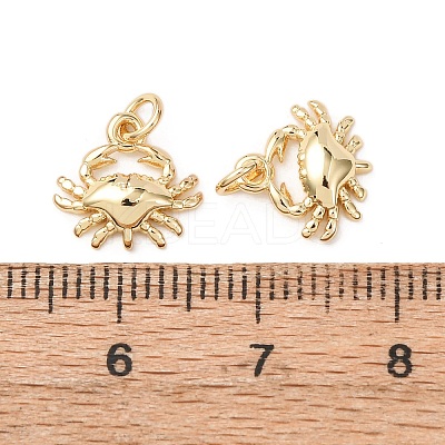 Brass Pendants KK-D019-16B-G-1