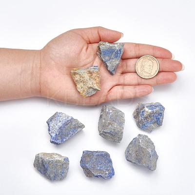 Rough Raw Natural Lapis Lazuli Beads G-F710-01-1