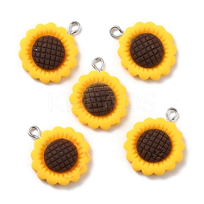 Resin Pendants X-RESI-C002-27-1