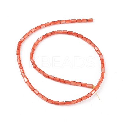 Natural Freshwater Shell Dyed Beads Strands SHEL-M018-12-02-1