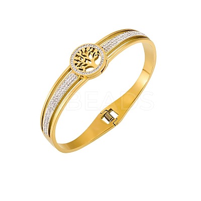 Stainless Steel Hinged Bangles for Women WGCD00D-01-1