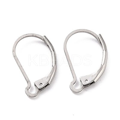 Non-Tarnish 304 Stainless Steel Leverback Earring Findings LS-X-STAS-K233-04P-1
