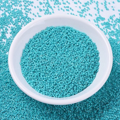 MIYUKI Delica Beads LS-X-SEED-J020-DB0658-1