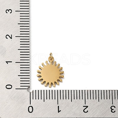 304 Stainless Steel Charms STAS-K263-06G-03-1