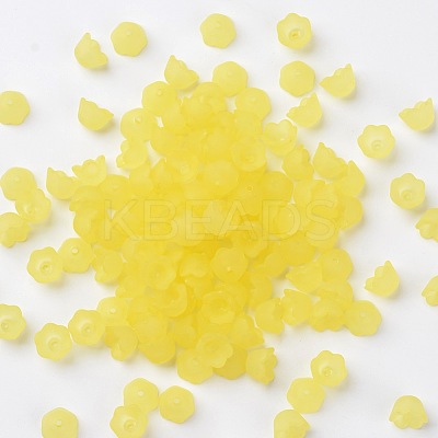 Transparent Acrylic Beads Caps LS-X-PL543-2-1