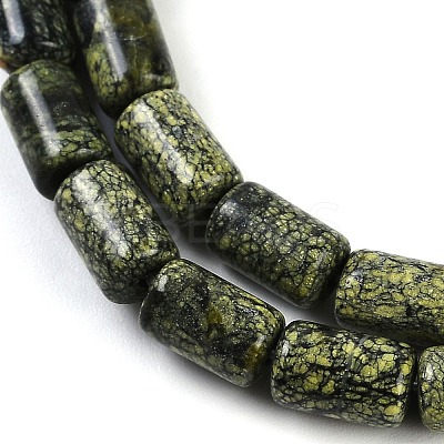 Natural Serpentine/Green Lace Stone Beads Strands G-H064-B01-01-1