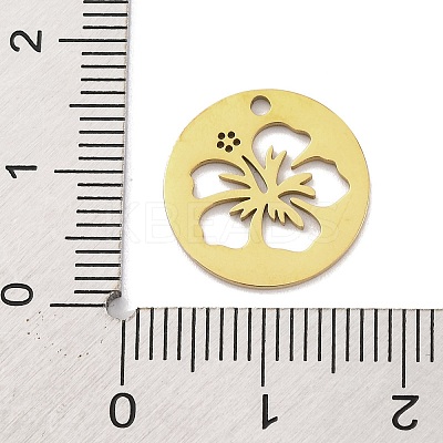 201 Stainless Steel Charms STAS-U016-02G-1