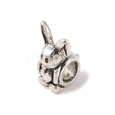 Tibetan Style Alloy European Beads TIBE-Q090-72AS-1