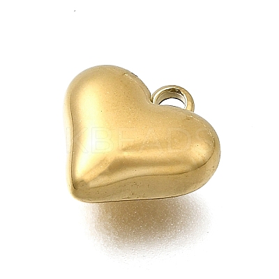 304 Stainless Steel Charms STAS-Z163-03G-1