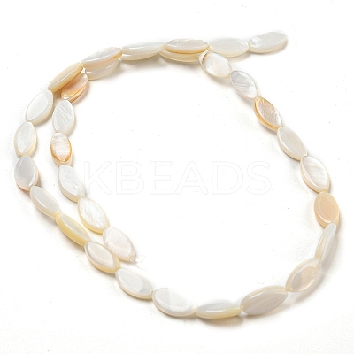 Natural Freshwater Shell Beads Strands BSHE-Z005-05-1