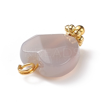 Natural Grey Agate Charms PALLOY-JF01863-04-1