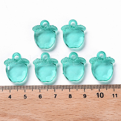 Transparent Acrylic Pendants TACR-S154-28B-68-1
