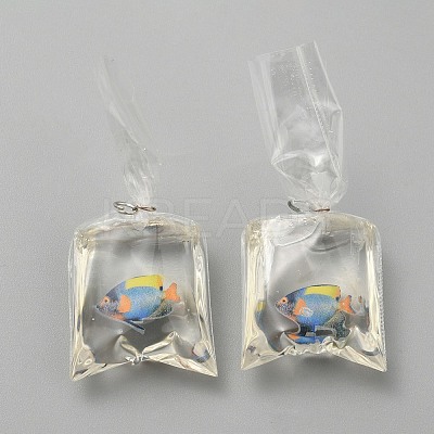 Transparent Resin Big Pendants RESI-TAC0024-01F-1