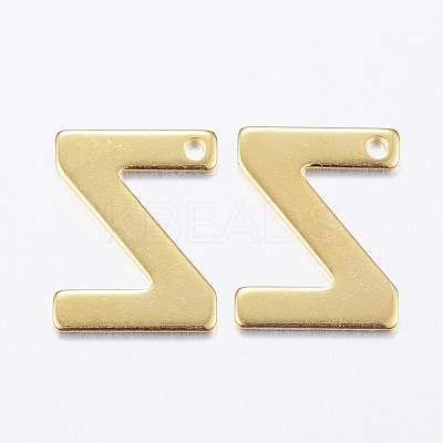 304 Stainless Steel Charms STAS-P141-Z-1