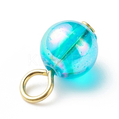 Transparent Acrylic Charms PALLOY-JF01813-1