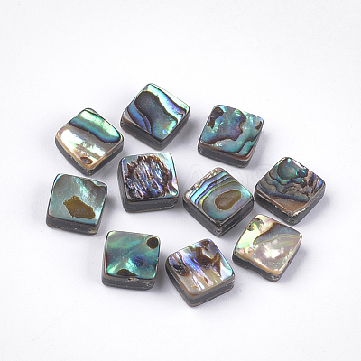 Abalone Shell/Paua Shell Beads SSHEL-T008-02-1