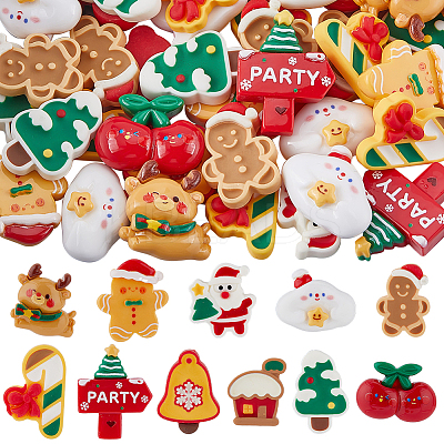 60cs 2 Styles Christmas Opaque Resin Decoden Cabochons RESI-SP0001-02B-1