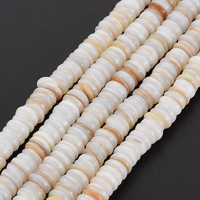 Natural Freshwater Shell Beads Strands SHEL-T018-31-1