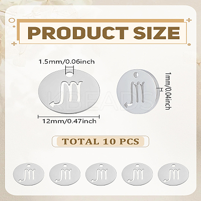 10Pcs 304 Stainless Steel Charms STAS-LP0003-19C-1