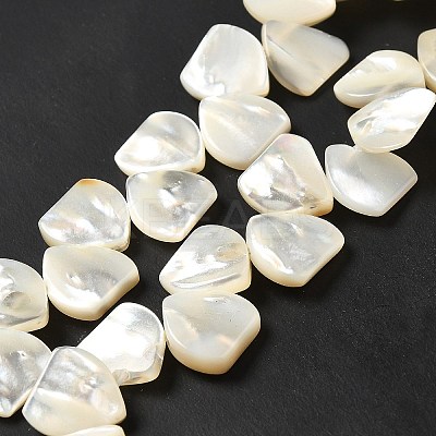 Natural White Shell Beads Strands SHEL-G014-15-1