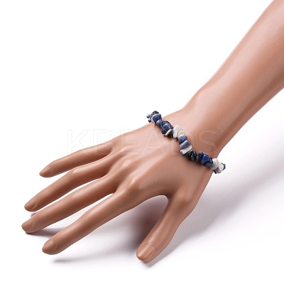 Natural Sodalite Chip Beads Stretch Bracelets BJEW-JB05765-03-1