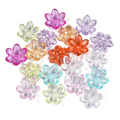 Transparent Acrylic Bead Caps OACR-H118-03-1