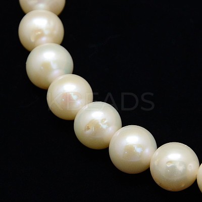 Natural Cultured Freshwater Pearl Beads Strands PEAR-L001-H-13-01-1