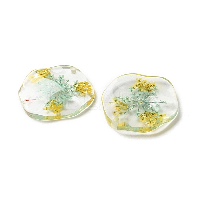 Inner Dried Flower Transparent Resin Pendants LS-RESI-A043-04C-1