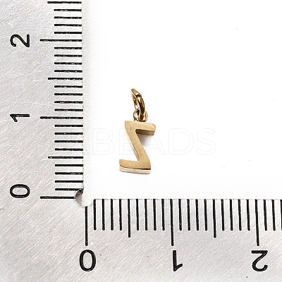 304 Stainless Steel Charms SA-CBABF3F-01G-Z-1