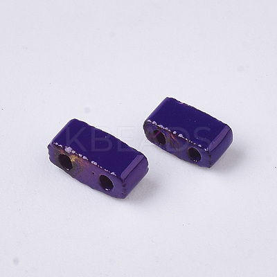 2-Hole Glass Seed Beads SEED-S023-34B-02-1