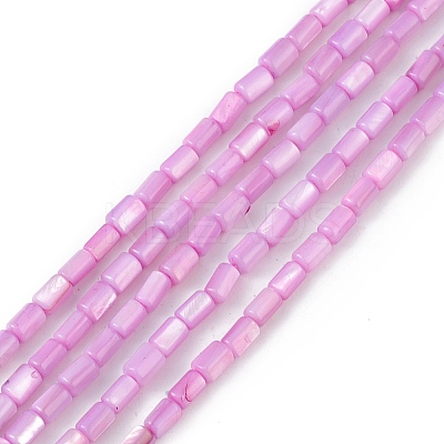 Natural Freshwater Shell Dyed Beads Strands SHEL-M018-12-08-1