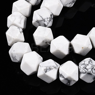 Natural Howlite Beads Strands G-T138-35-1