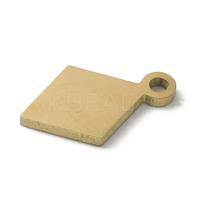 304 Stainless Steel Charms LS-STAS-E501-05G-1