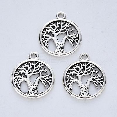Tibetan Style Alloy Pendants X-TIBE-R316-111AS-RS-1