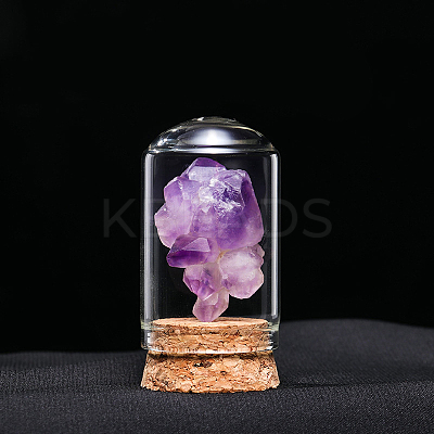 Natural Raw Amethyst Display Decoration G-PW0007-070F-1