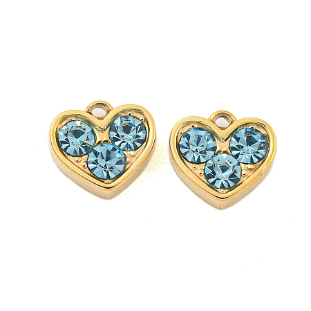 304 Stainless Steel Pendants STAS-L080-001G-02-1