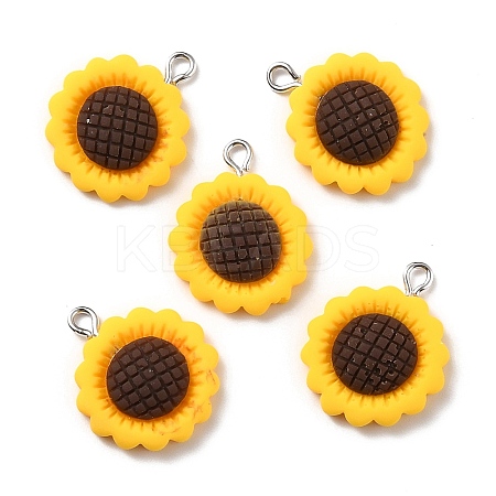 Resin Pendants X-RESI-C002-27-1