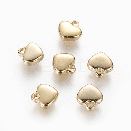 304 Stainless Steel Charms LS-STAS-L233-024G-1