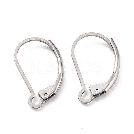 Non-Tarnish 304 Stainless Steel Leverback Earring Findings LS-X-STAS-K233-04P-1