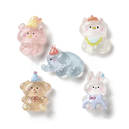Transparent Resin Cabochons RESI-K043-26-1