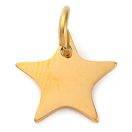 304 Stainless Steel Charms STAS-Q331-01E-1