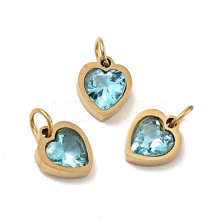 PVD Vacuum Plating 304 Stainless Steel Pendants STAS-D189-06G-03-1
